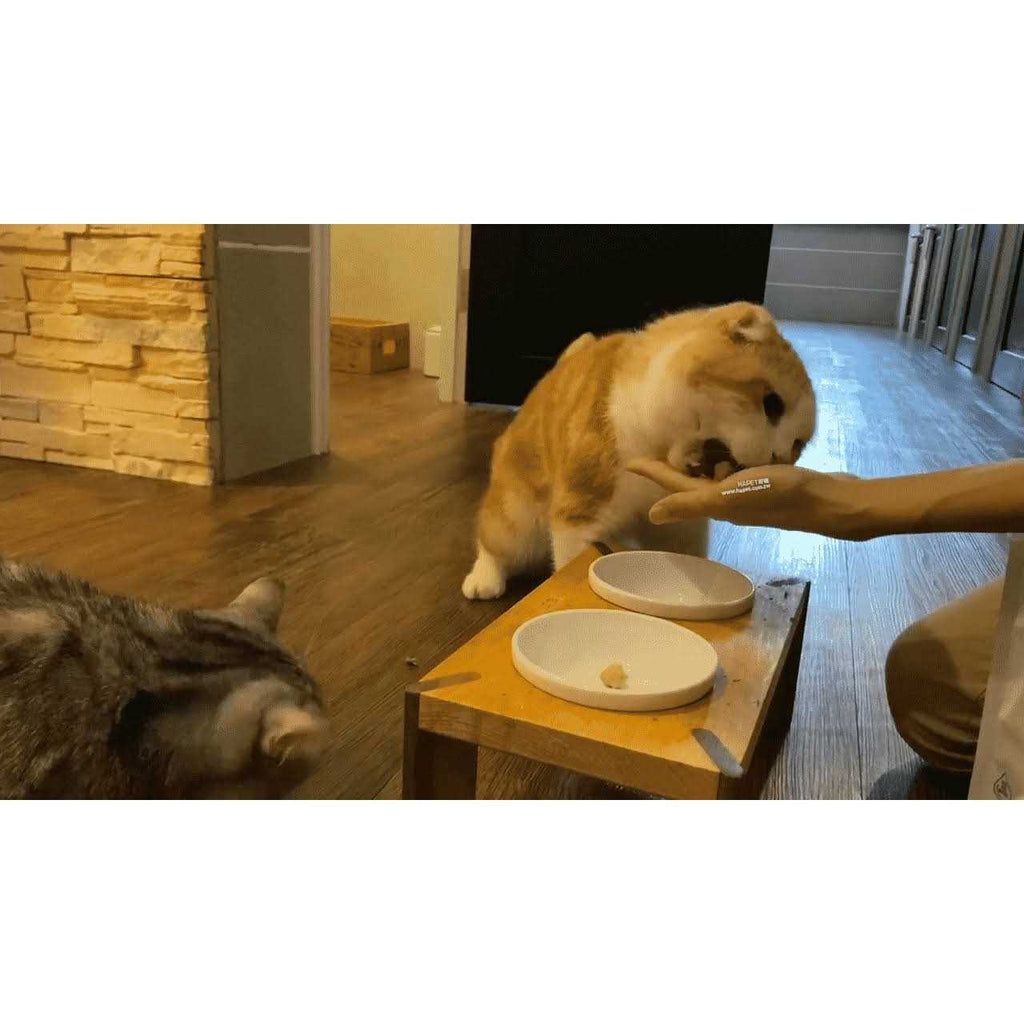 Freeze-Dried Cat Food P59987