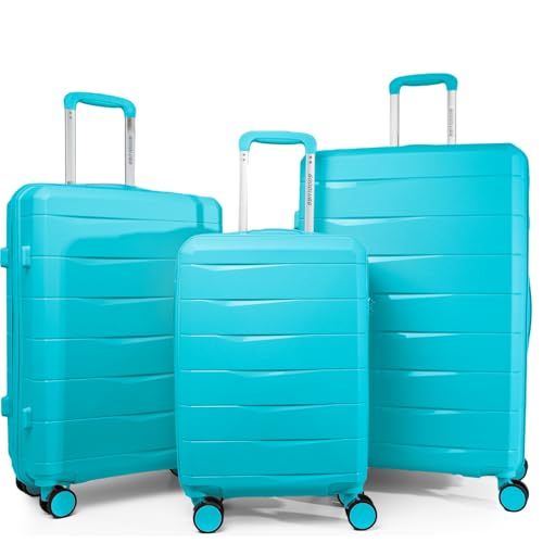 20-Inch Black Hardside Carry-on Luggage with Spinner Wheels and TSA Lock B4410