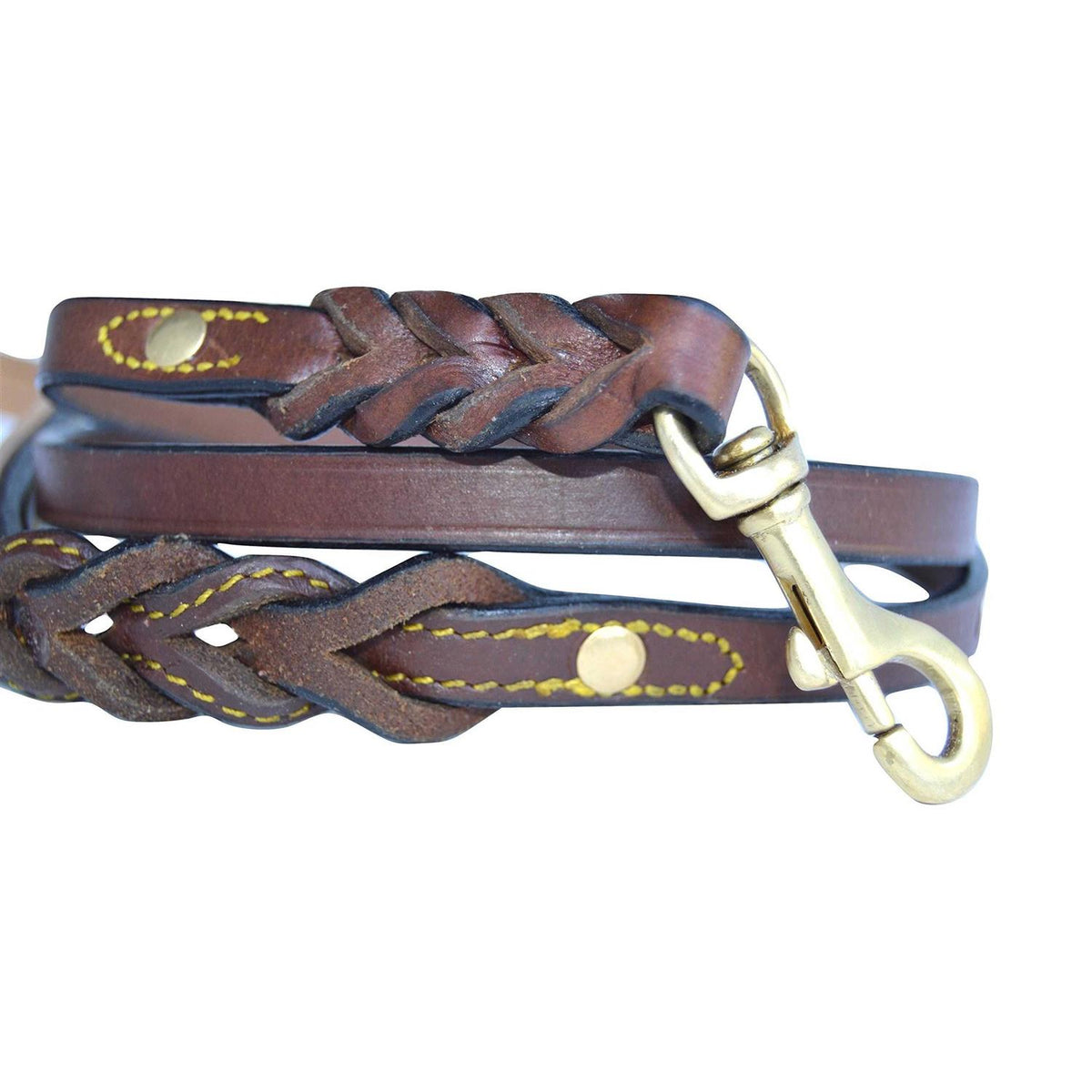 Leather Braided Dog Leash B48237