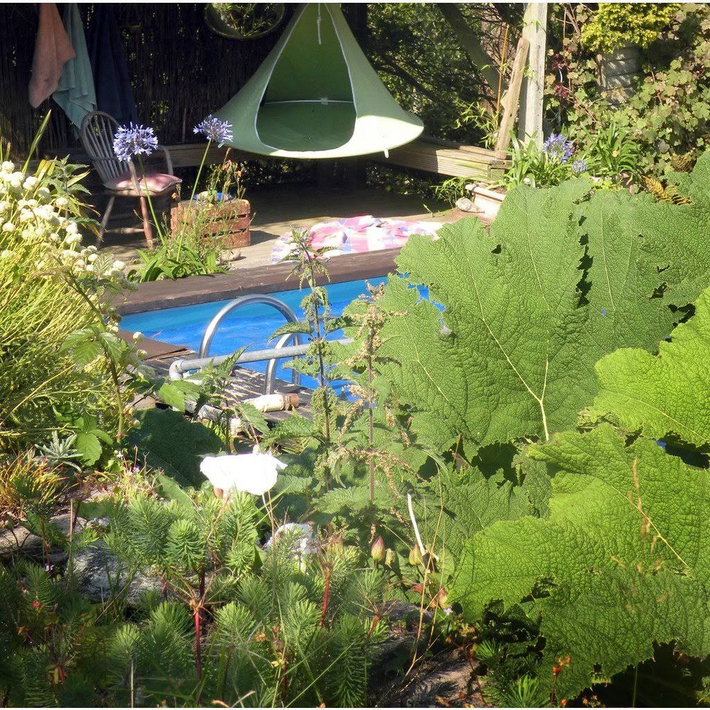 Leaf Green Single Cacoon Q74700