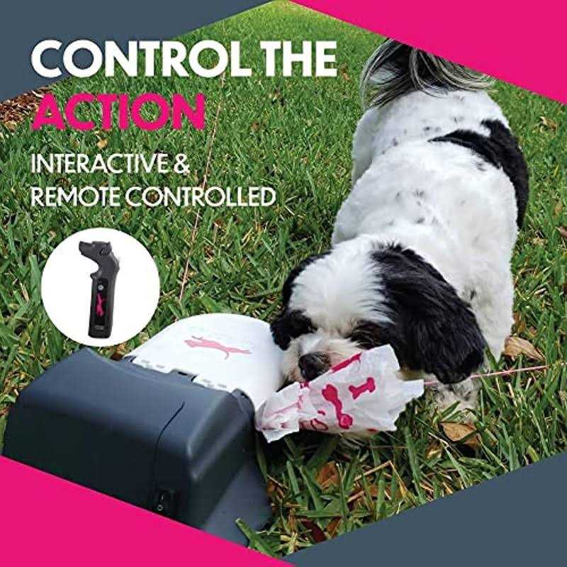 Remote-Control Chase Toy for Dogs T65844