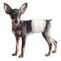 Soft Disposable Male Dog Wraps I604