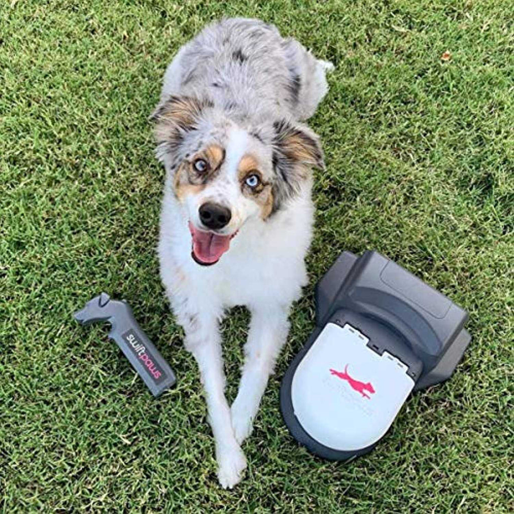 Remote-Control Chase Toy for Dogs T65844