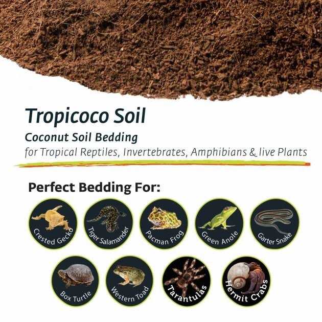 Coconut Soil Invertebrate Bedding J98805