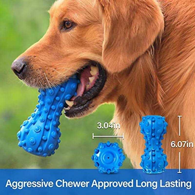 Remote-Control Chase Toy for Dogs T65844