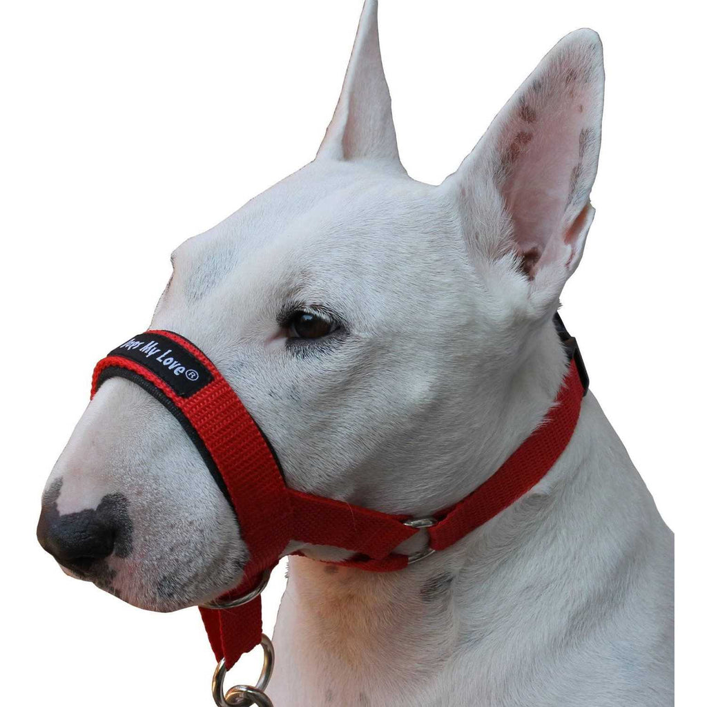 Dog Head Collar Halter I807865