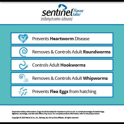 Flavor Tabs for Dogs K277640