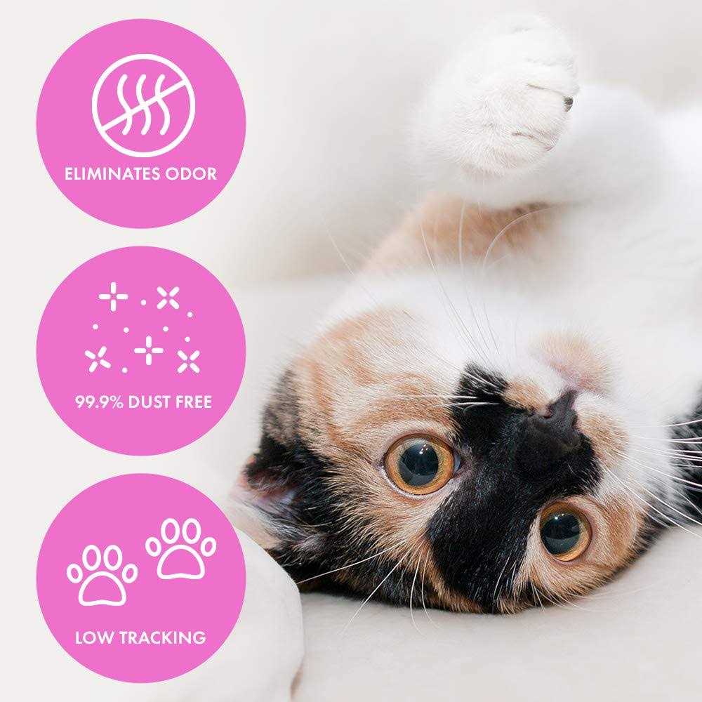 Cat Litter A278087