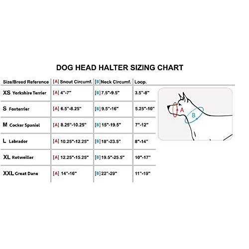 Dog Head Collar Halter I807865