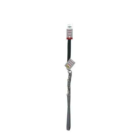Two Point Control Dog Leash A119