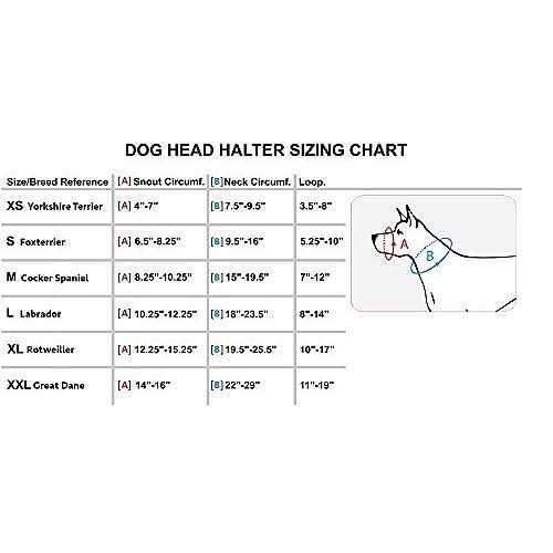 Dog Head Collar Halter I807865