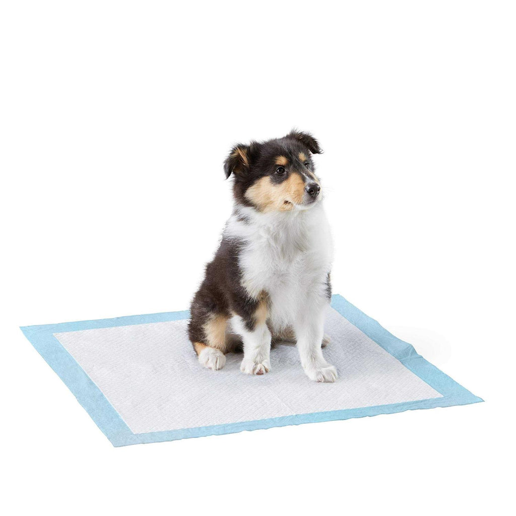 Dog and Puppy Pee Pads 5-Layer Leak-Proof Quick-Dry Q726