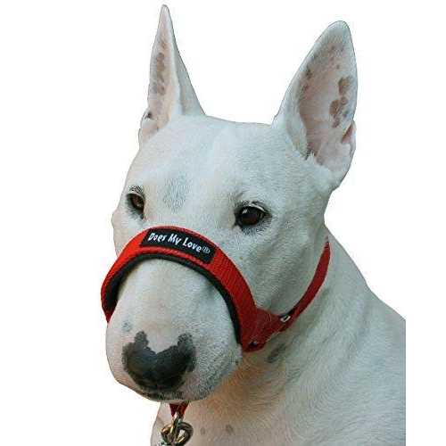 Dog Head Collar Halter I807865