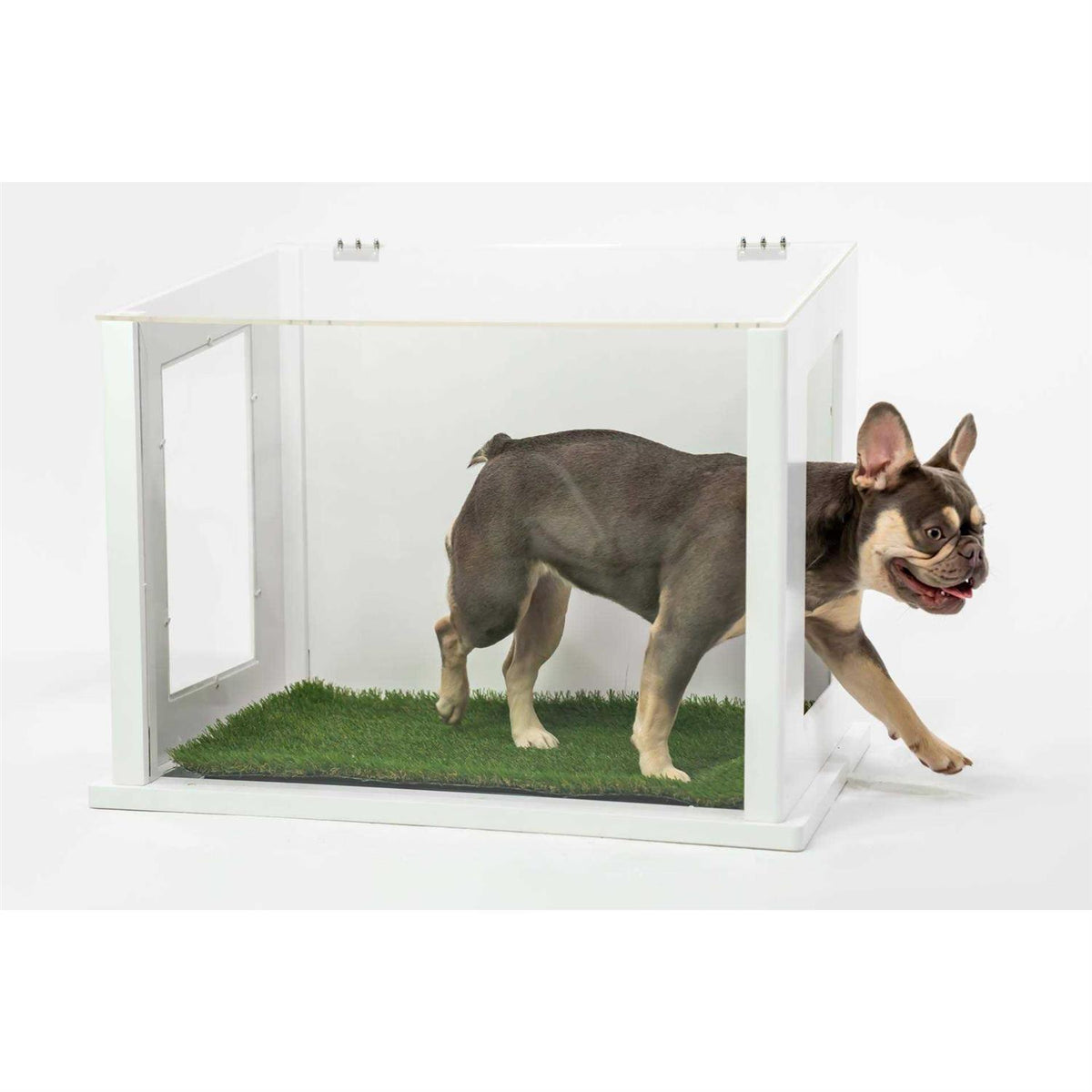 Chic Dog or Cat Potty W5221