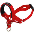 Dog Head Collar Halter I807865
