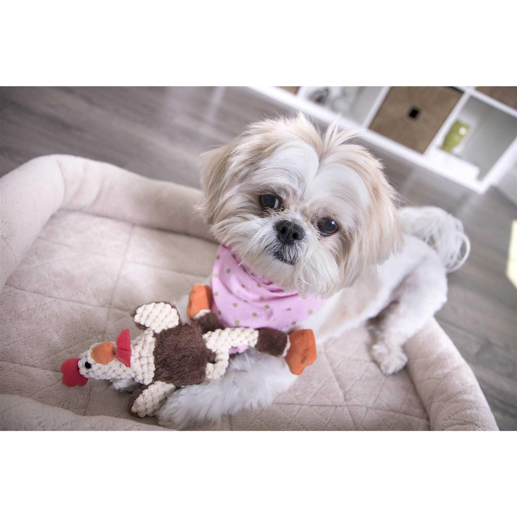 Skinny Rooster Dog Toy G758