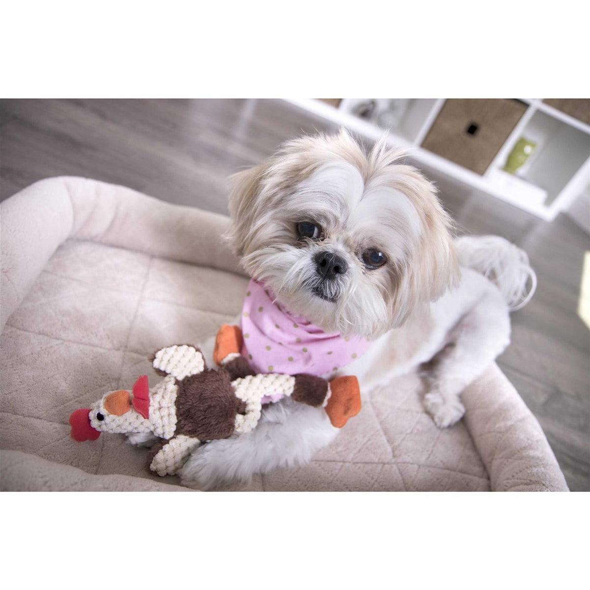 Skinny Rooster Dog Toy G758